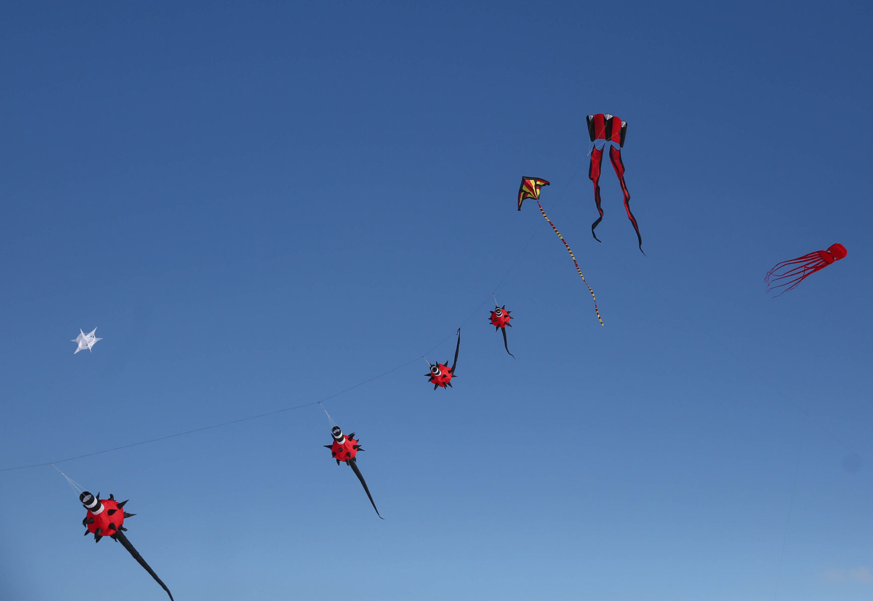 Color the Wind kite festival 02-15-2020 (24).jpg